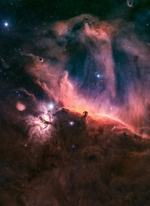 A detailed and colorful Hubble Space Telescope image of the Orion Nebula showcasing star-forming regions and swirling clouds of gas and dust (NASA)